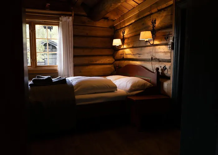 Roisheim & Skysstasjon Lom